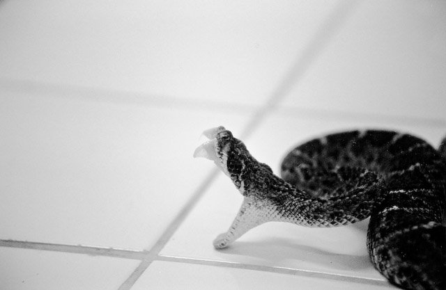 Introspection 1 l'introspection est une méthode d'analyse de soi en vue d'étudier sa propre personne