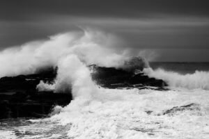 Le Monde Est D Humeur Massacrante