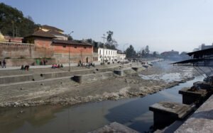 Naitre Et Mourrir A Petit Feu