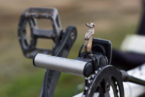 De jolies rencontres : Les cyclistes Anglais 5 Les Cyclistes Anglais
