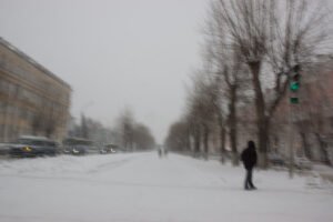 Au Revoir Siberie
