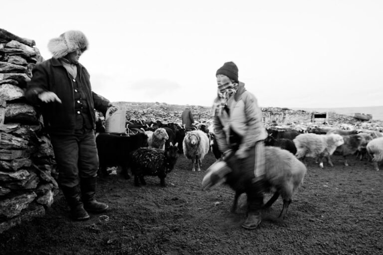 J'ai joué à saute moutons 1 Saute Mouton 4