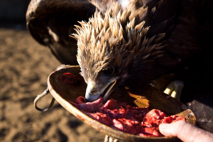 Une histoire de viande 3