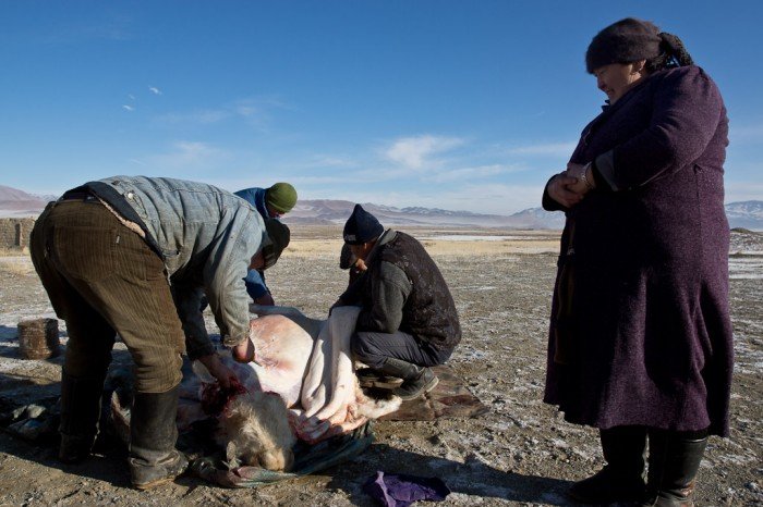 Une histoire de viande 5