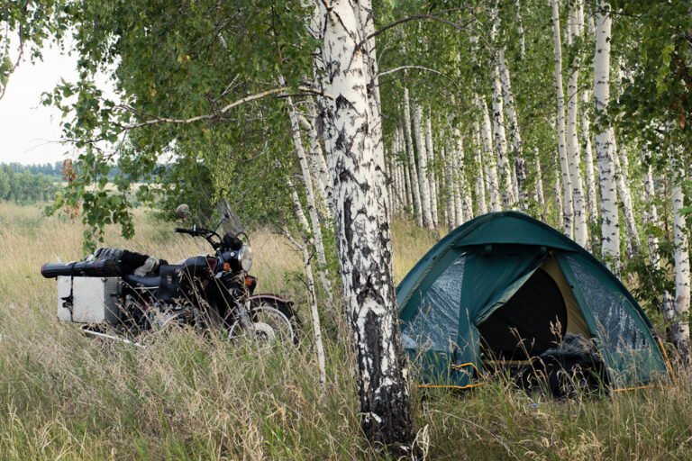 Promenons-nous dans les bois 4 camping