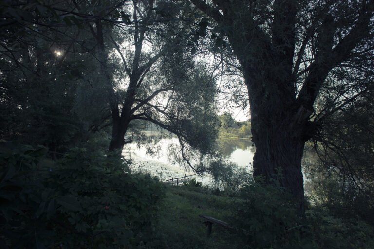 Pêle-mêle de la semaine #2 5 pele mele n2 3