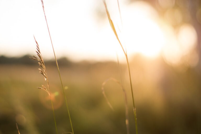 Pêle-mêle de la semaine #3 2 pele mele n3 4