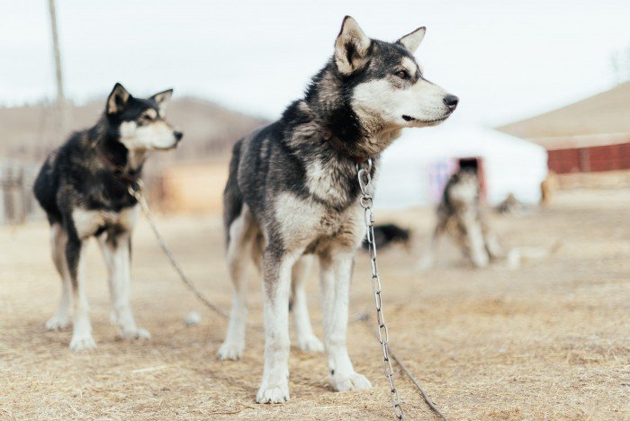 Paré au départ ! 2 Pret à partir-1