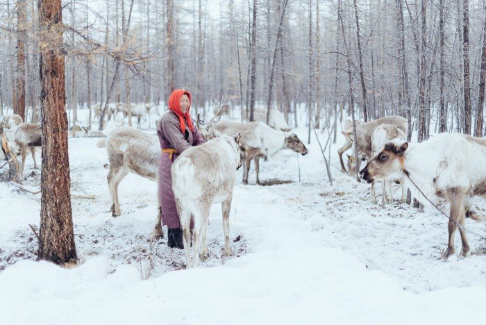 La vraie vie des Tsaatans, ou faut-il aller les voir ? 2 Tsaatans-4