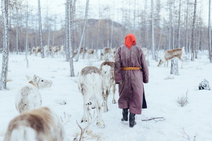 La vraie vie des Tsaatans, ou faut-il aller les voir ? 8 Tsaatans-5