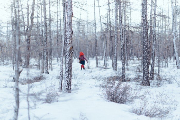 La vraie vie des Tsaatans, ou faut-il aller les voir ? 6 Tsaatans-6