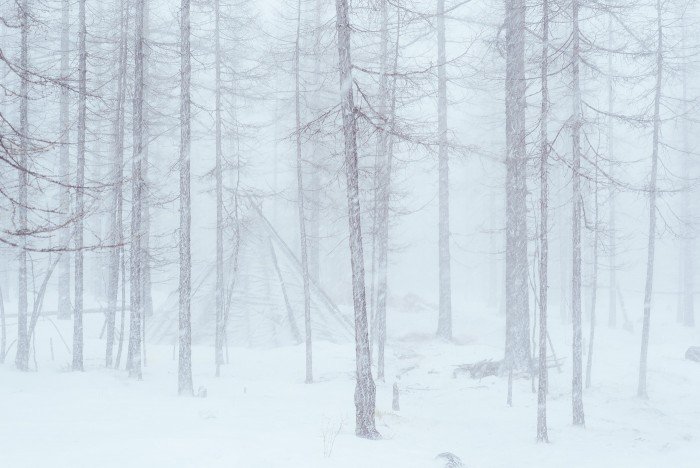 La vraie vie des Tsaatans, ou faut-il aller les voir ? 1 Tsaatans-9