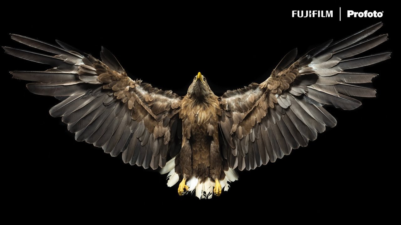 Fujifilm