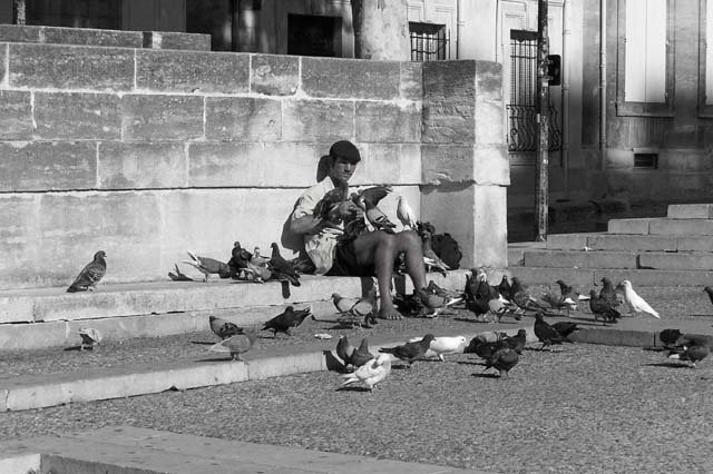 Résultat du NOP contest -edit- 4 Place du palais des papes par P'tite Nélodie
