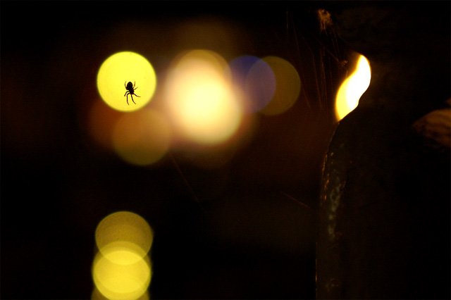 Américanophobie 1 Américanophobie