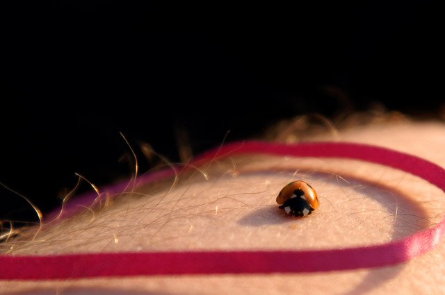 Stuart contre le reste du monde (ou presque)