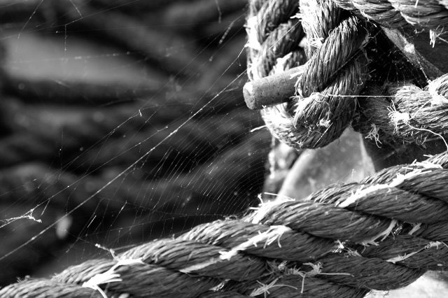 Théorie des cordes 1 Théorie des cordes