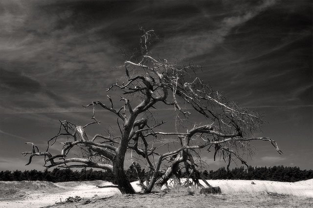 Malédiction 1 Malédiction