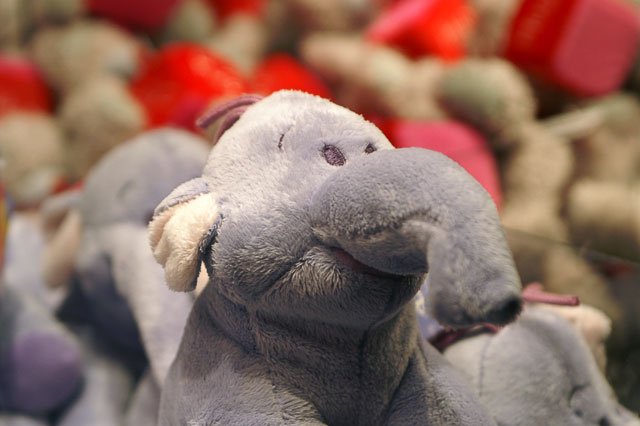 Argot québécois 1 Bibite