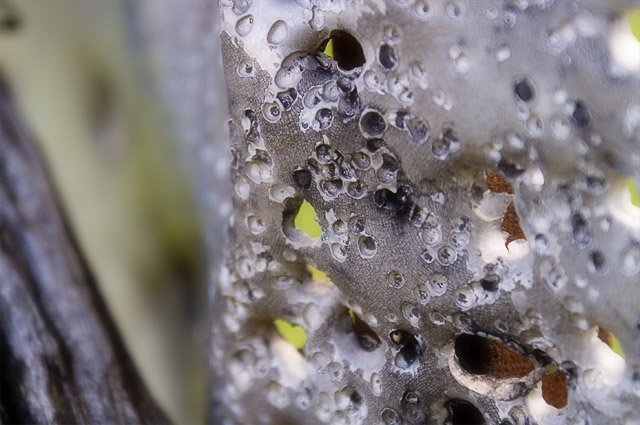 Etre tombé dans le panneau 1 Etre tombé dans le panneau