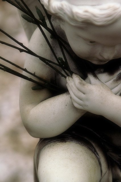 Crapo recherche models 1 model