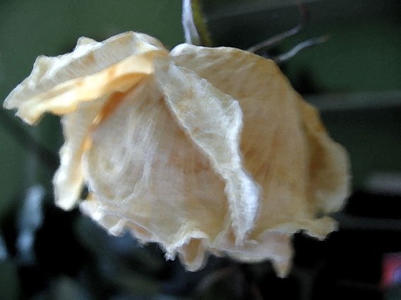 Une de perdue... une de retrouvée